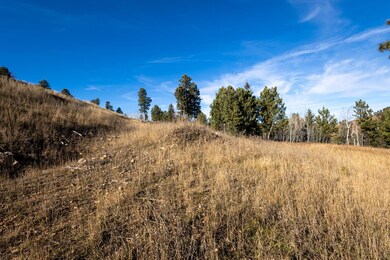 Lots 45 & 46 Golden Hills, Sturgis, SD 57785 - photo 5