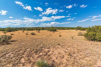 TBD Twin Lake Ranches Lot 140, Walsenburg, CO 81089 - photo 5