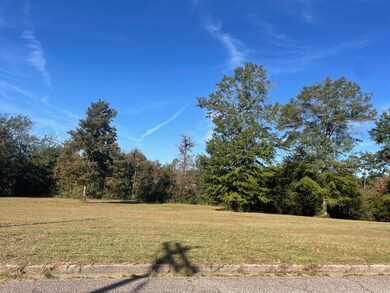 Photo Nov 05 2025, 9 29 11 AM