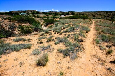 IMG_1070