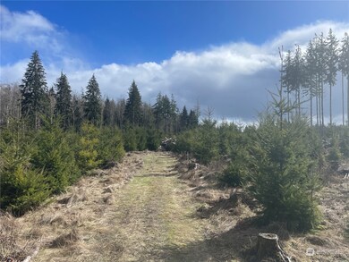 0 NA Hooper Rd, Longview, WA 98632 - photo 6