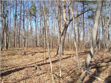 56 0 Beaten Path 2