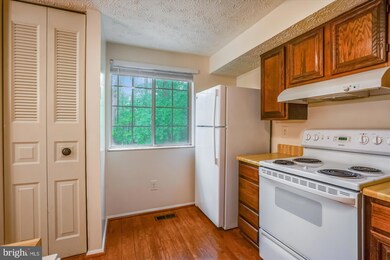 11504 Ivy Bush Ct, Reston, VA 20191 - photo 4