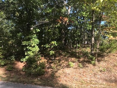 0 Allonby Cir, Bella Vista, AR 72714 - photo 3