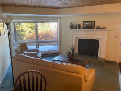 1611 Superior Shores Dr unit 57B, Two Harbors, MN 55616 - photo 2