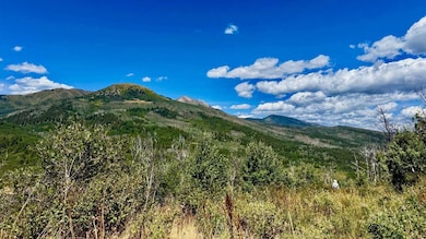 1368 Cr 124 unit Durango CO, Durango, CO 81301 - photo 3