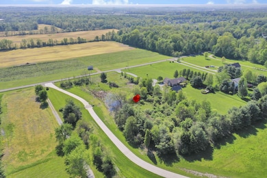 6-web-or-mls-DJI_0220 - Copy