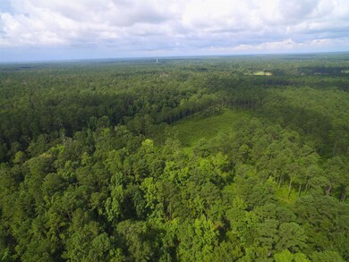 193 Northwood Ln, Crawfordville, FL 32327 - photo 5