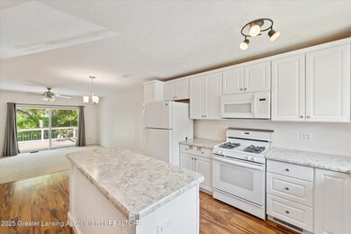 06-2110-La-Mer-Ln-Haslett-MI-48840-Windo