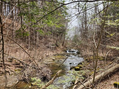 0 Moyer Rd, Root, NY 12166 - photo 6