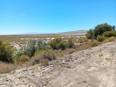 APN 007-091-74 Casey Rd, Fallon, NV 89406 - photo 3