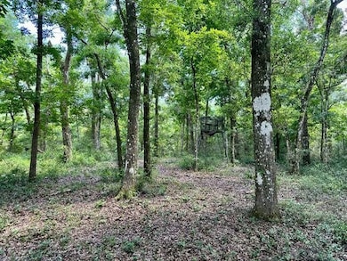 0 Jack Crum Rd unit 359125, Crawfordville, FL 32327 - photo 3