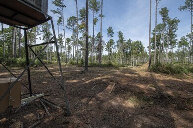 00 Oak Grove Church Rd, Asheboro, NC 27205 - photo 5