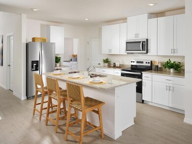 9142 Dalera Cove, Palmetto, FL 34221 - photo 6