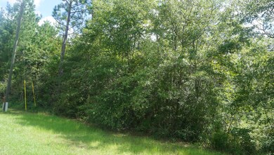 Lot #9 Mill Creek Rd, Lucedale, MS 39452 - photo 6