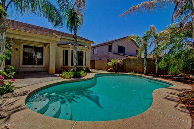Sparkling Pool Gilbert Ashley Heights Ho