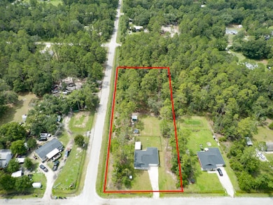 5005 Joseph St, Hastings, FL 32145 - photo 2