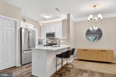 1580 Spring Gate Dr unit 4204, McLean, VA 22102 - photo 6