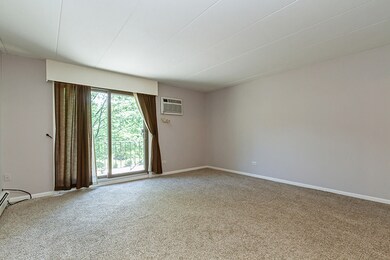 1220 S Lorraine Rd unit 2E, Wheaton, IL 60189 - photo 3