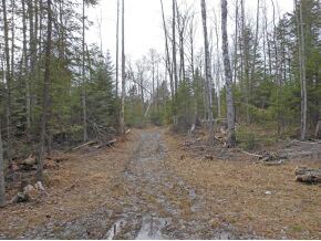 open area on lot