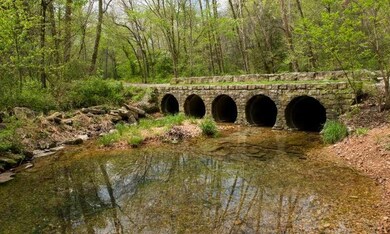 5 AC Devils Gap Rd, Rogers, AR 72756 - photo 4