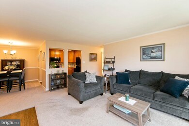 114 Timberlake Terrace, Stephens City, VA 22655 - photo 3