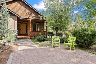 forest-MLS-50