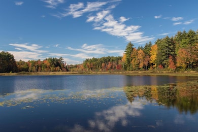 900 Bunker Hill Rd, South Tamworth, NH 03883 - photo 3