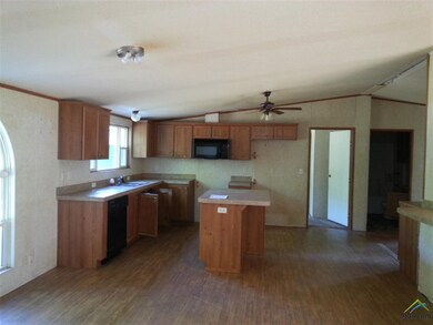 16971 Jessie Hale Rd, Tyler, TX 75707 - photo 3