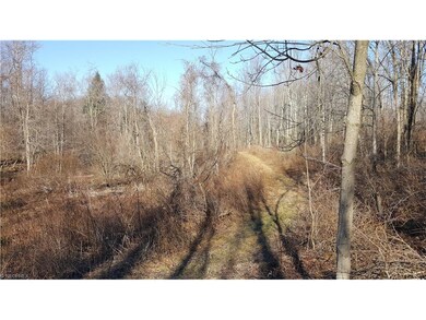 5850 Wetmore Rd, Conneaut, OH 44030 - photo 7