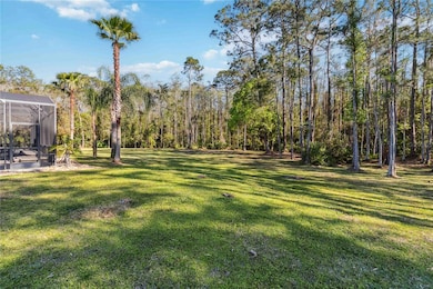Backyard and conservation land