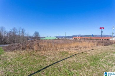 0 Friendship Rd unit 1 acre 835862, Oxford, AL 36203 - photo 5