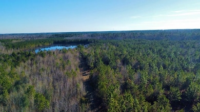 00 Herrington Rd, Hazlehurst, GA 31539 - photo 6