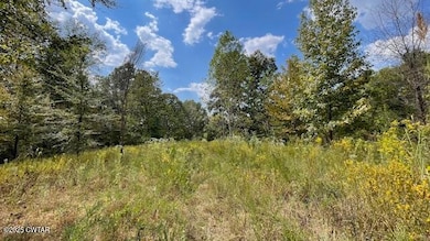 00 Graves Ln, Trenton, TN 38382 - photo 7