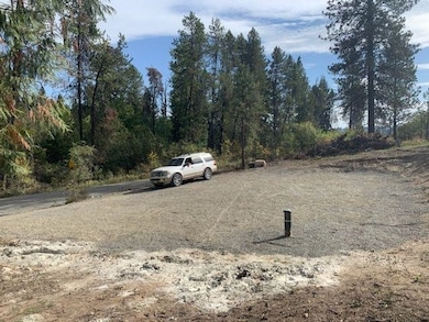 XXX N Madison Rd, Mead, WA 99021 - photo 2