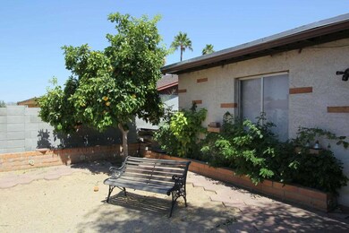 6- Backyard