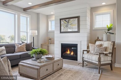 10119 Shadyview Ln N, Maple Grove, MN 55311 - photo 6