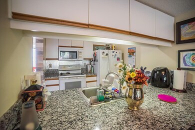 _DSC0755-6988123
