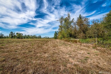 2753 E Badger Rd, Everson, WA 98247 - photo 4