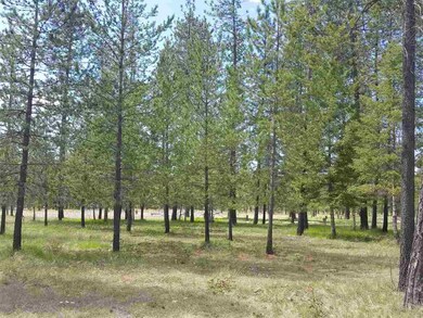 2600 Blk Hogan's Way, Chewelah, WA 99109 - photo 2