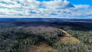 Lot 3 Jerseyfield Rd, Little Falls, NY 13365 - photo 7