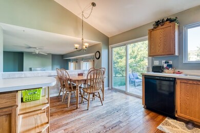 24312 Pear Tree Way, Plainfield, IL 60585 - photo 7