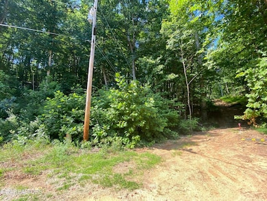 00 Cove Pointe Rd, Lafollette, TN 37766 - photo 3