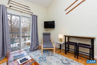 224 Timbers Condos, Wintergreen, VA 22958 - photo 4