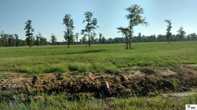 14 Louisiana 139, Monroe, LA 71203 - photo 4