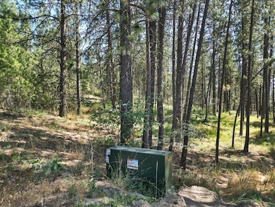 NKA Weaver Way unit Lot 3 of Lot 1, Deer Park, WA 99006 - photo 4