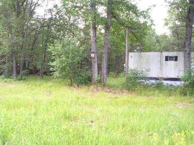 1276 W Coolidge St, Bitely, MI 49309 - photo 5