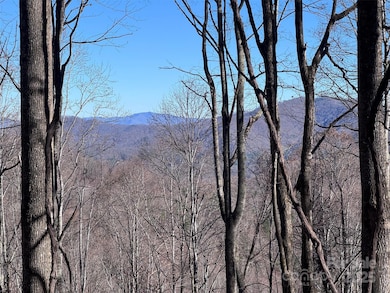 15 +/- Acres Riddle Branch Rd, Burnsville, NC 28714 - photo 4