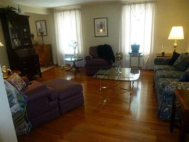 Living Room. Let the sun shine, lots of light