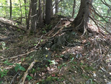 19-X Streamview Dr, Harmony, ME 04942 - photo 2